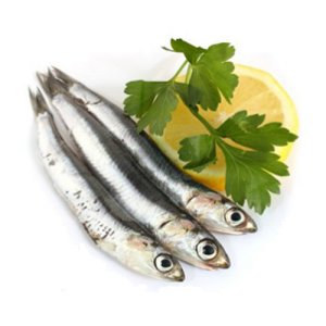 Alici
