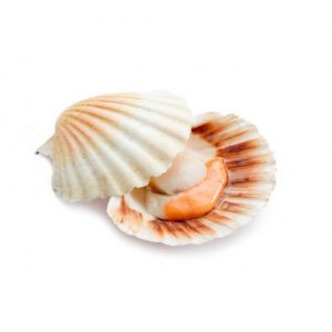 Cappasanta mezzo guscio