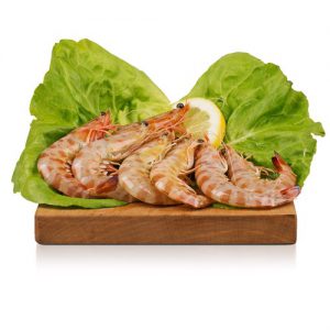 Mazzancolla